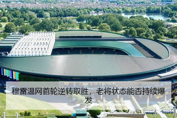 mu-lei-wen-wang-shou-lun-ni-zhuan-qu-sheng-lao-jiang-zhuang-tai-neng-fou-chi-xu-bao-fa-3-229.jpg